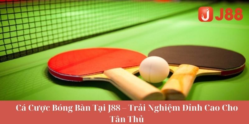 Giới Thiệu Về Cá Cược Bóng Bàn Tại J88